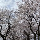 웅희농장 이미지