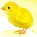 고흥 답 매물 참고 정보입니다 이미지