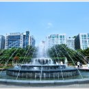 백조호수공원 이미지