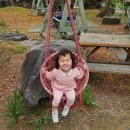 둥지밀면 이미지