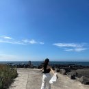 블랙이쉬레드