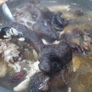 논빼미식당