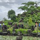 거기벵디 이미지