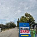 농업기술센터 2층화장실 | 2025 청주 무심천 코스모스 개화상황 상당구청 농업기술센터 가을나들이 느티나무식당