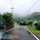 인안2리 네이버블로그