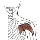 스테이피티앤필라테스 이미지
