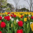 그냥 심심해서요. (28167) ‘대전 0시 축제’ 준비 착착 이미지