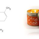 감귤향기 이미지