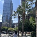 TWENTYNINE29(투웬티나인29) | 미국 [29팜스] 8/26 :: 조슈아트리에게 홀리다