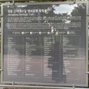 경향신문 별관 | 덕수궁 돌담길 완주하기 구석구석 정동길 탐방