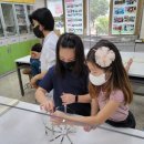 관호초교 이미지