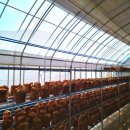 사례농장 이미지