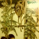 전통굴비 이미지