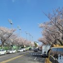 제주종합경기장연정정구장 이미지