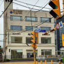 토브도로시파스타 이미지