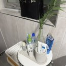 다채로운 삶(퍼스널컬러) | 잠실 퍼스널컬러 진단 후기｜다채로운 퍼스널컬러에서 봄웜? 겨울쿨? 직접 받아본 리얼 후기