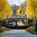 원미공원 이미지