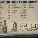 돛앤닻 이미지