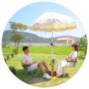 거제 파인애플 카페, 포토존이 가득한 파인에이플러스 독특해!(주차)