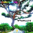 부여&amp;부소산성 등 이미지
