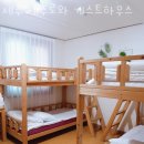제주로와 | 제주도게스트하우스 제주 제주로와 게스트하우스 제주여행 할 때 숙박 가격 위치 후기