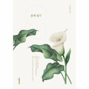 촌댁 이미지