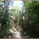 정하건강 이미지