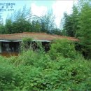 작천면사무소 이미지