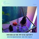 천연성분으로 만든 제주 감성 고급디퓨저 제주마타앤베이비마타 제주기억 디퓨저