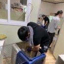 다움 펫푸드 파이낸셜뉴스