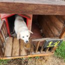 호호산장 이미지