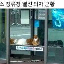 신흥상가 이미지