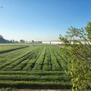 모텔심포장 이미지