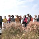 하늘공원 이미지