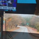 내장산캠핑카 이미지