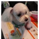 토곡동물병원 이미지