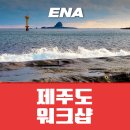 주식회사 제주도여행 이미지