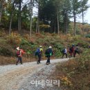 사단법인 문화커뮤니티 금토 이미지