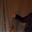 안양바다낚시터 이미지