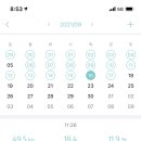 라라올라 이미지