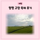 뒤늦은 함평 나비축제 고창 청보리밭 축제 후기(청보리밭 5월이 예뻐요)