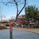 댄밖공원 이미지