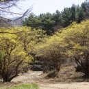 양평한우 이미지