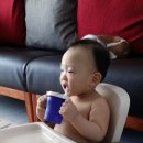 더블유블리