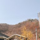 영이네집 이미지