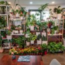 꽃가지화원 이미지