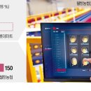 성주과일