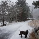 부연동신난다 이미지