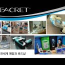 와우파티 Daum카페
