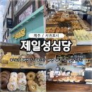 버스정류소_고성리제주은행 | 제주가볼만한곳 빵지순례 제일성심당 성산일출봉 주민 베이커리 맛집